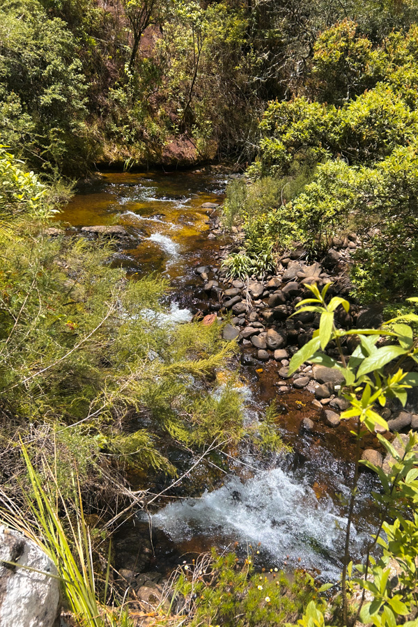 Stacks Image 2172