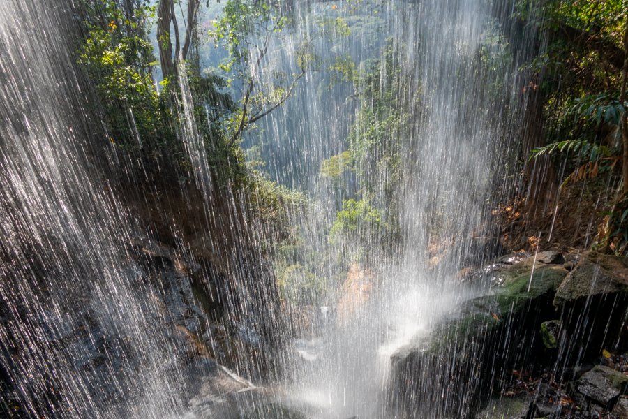 Stacks Image 1845