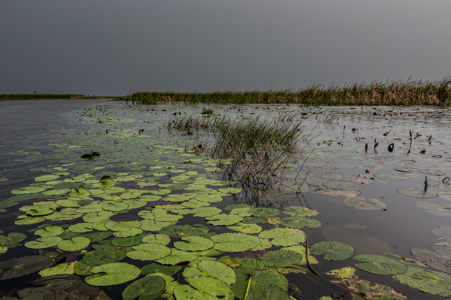 Stacks Image 840
