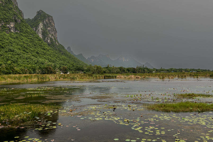 Stacks Image 847