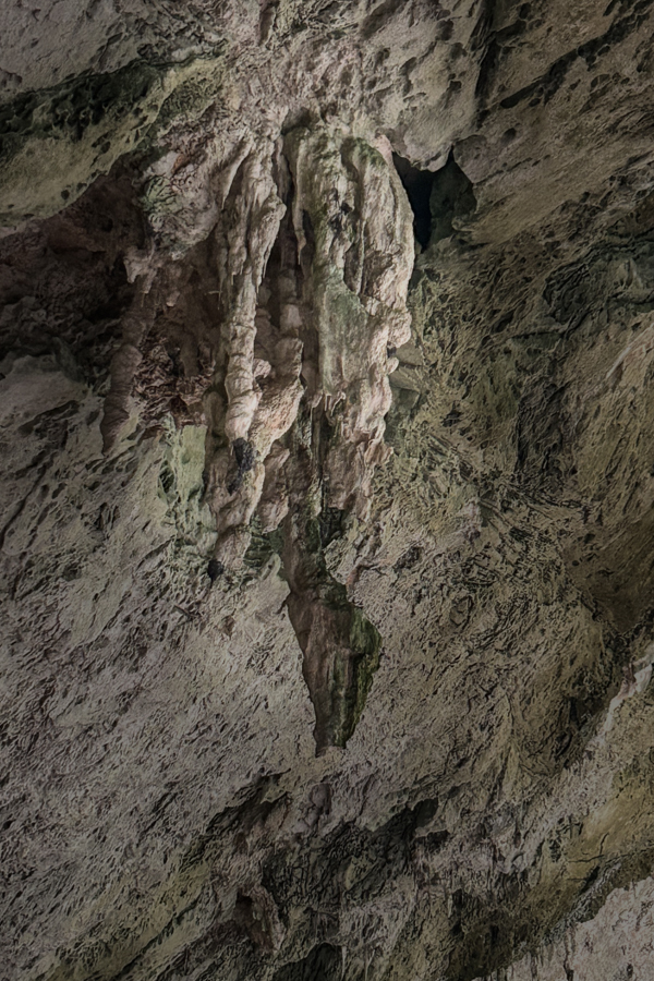 Stacks Image 923