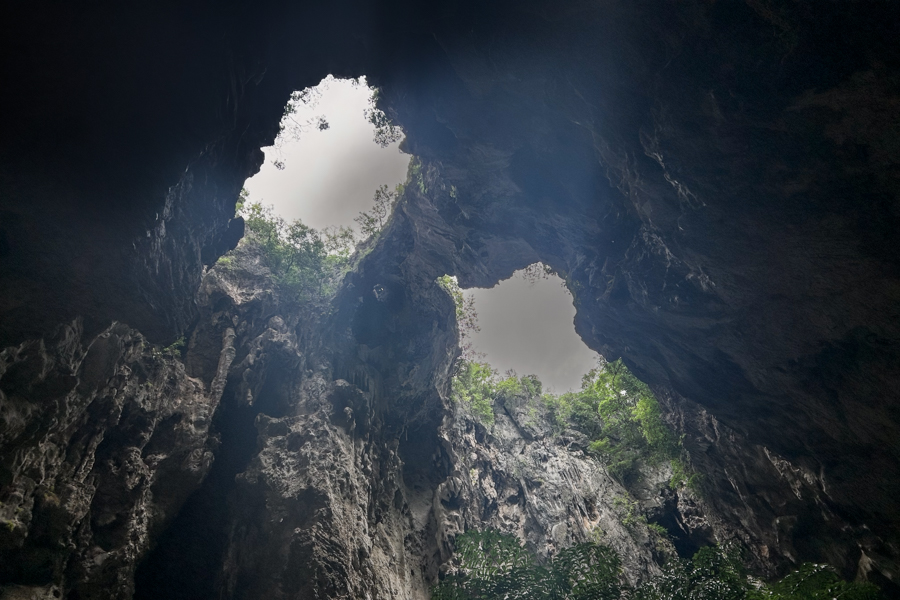 Stacks Image 930