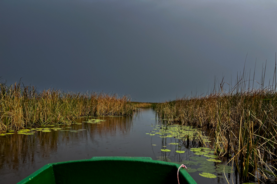 Stacks Image 832