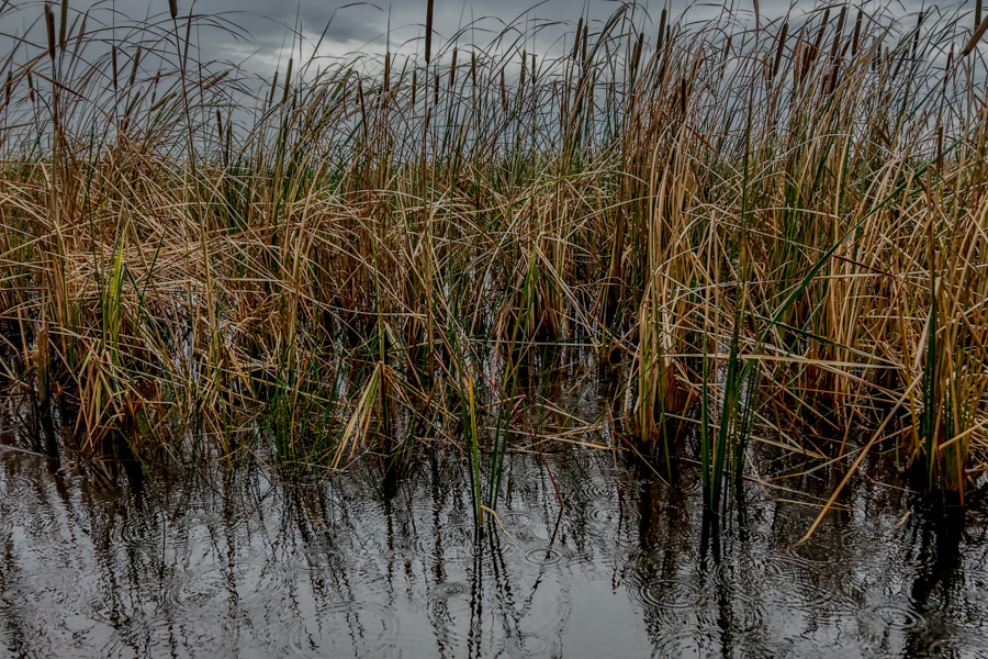 Stacks Image 857