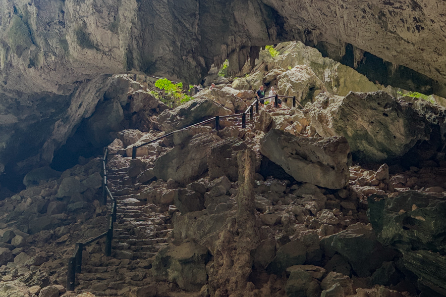 Stacks Image 935