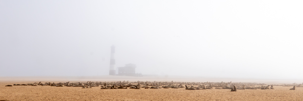 Stacks Image 87
