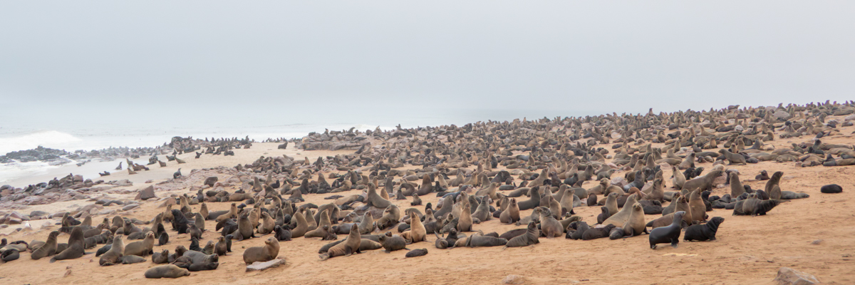 Stacks Image 93