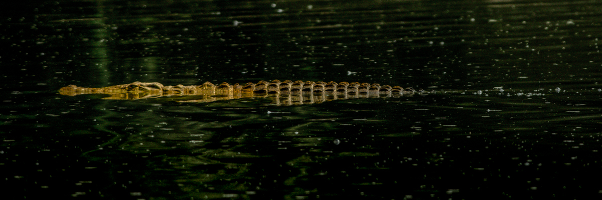 Stacks Image 68