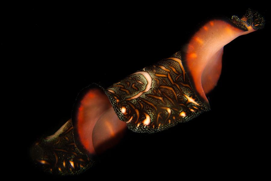 Stacks Image 3441