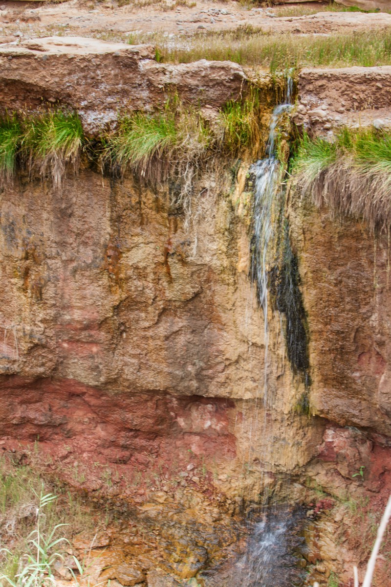 Stacks Image 1006