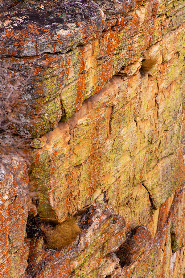 Stacks Image 1669