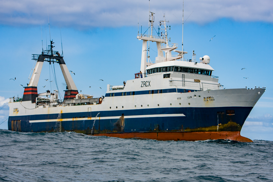 Stacks Image 918