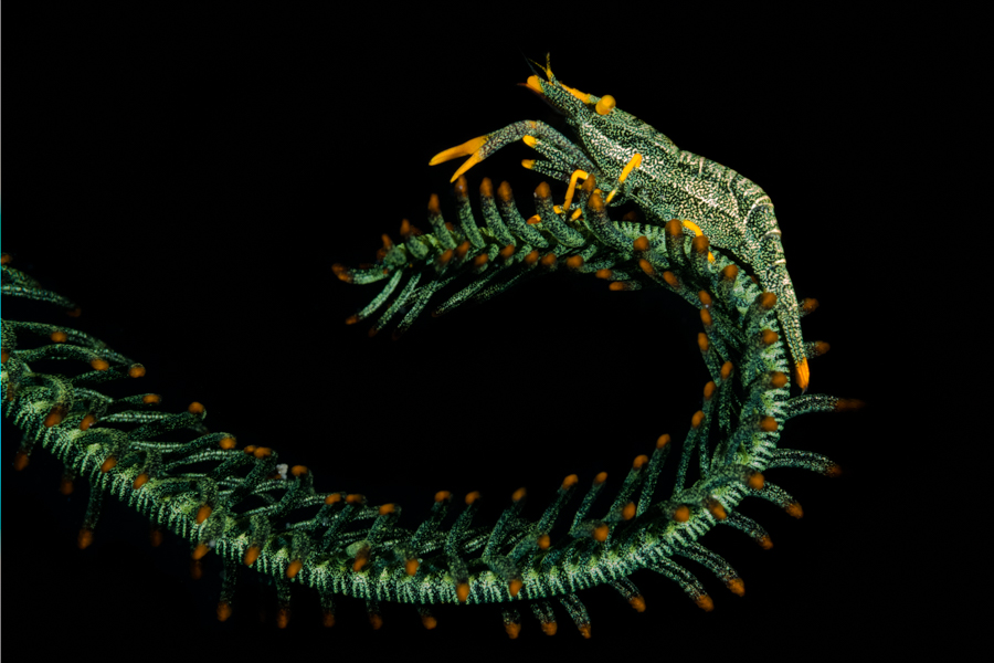 Stacks Image 3540