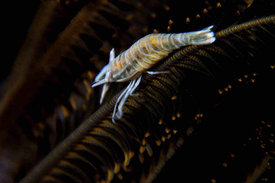 Stacks Image 3161