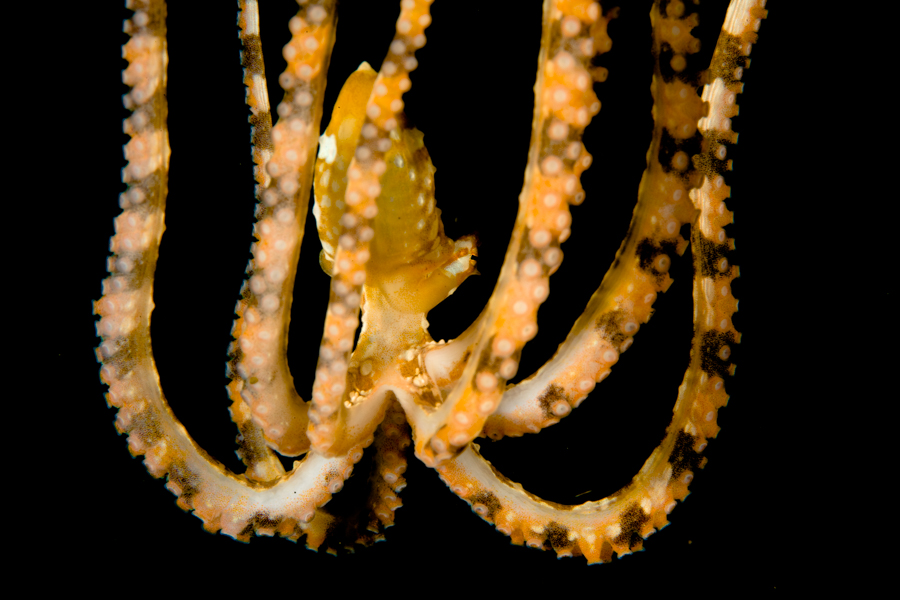 Stacks Image 3476
