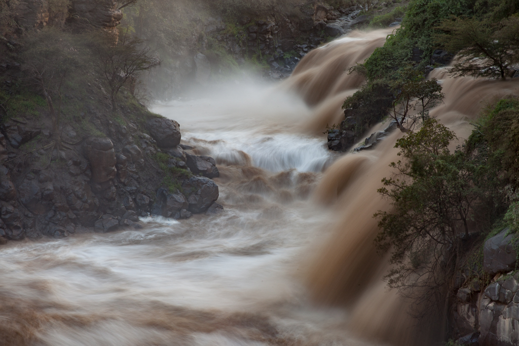 Stacks Image 655