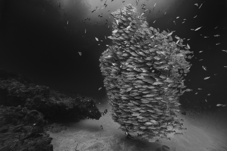 Stacks Image 2559