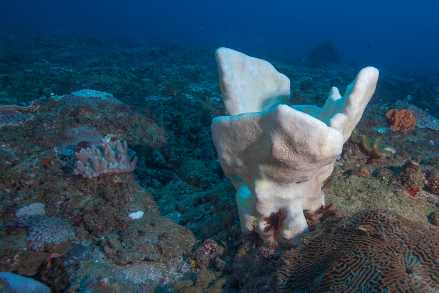 Stacks Image 1825