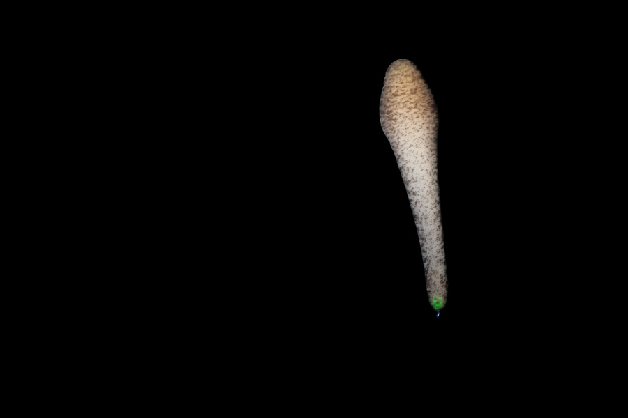 Stacks Image 1852