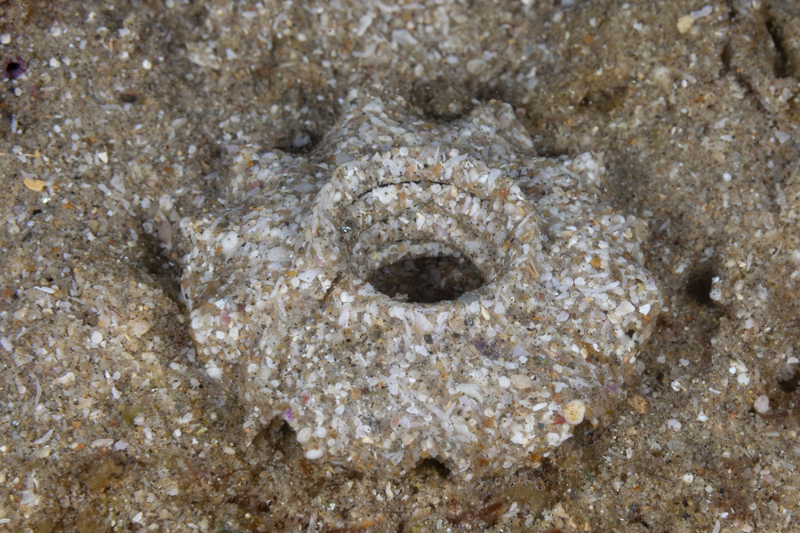 Stacks Image 1509