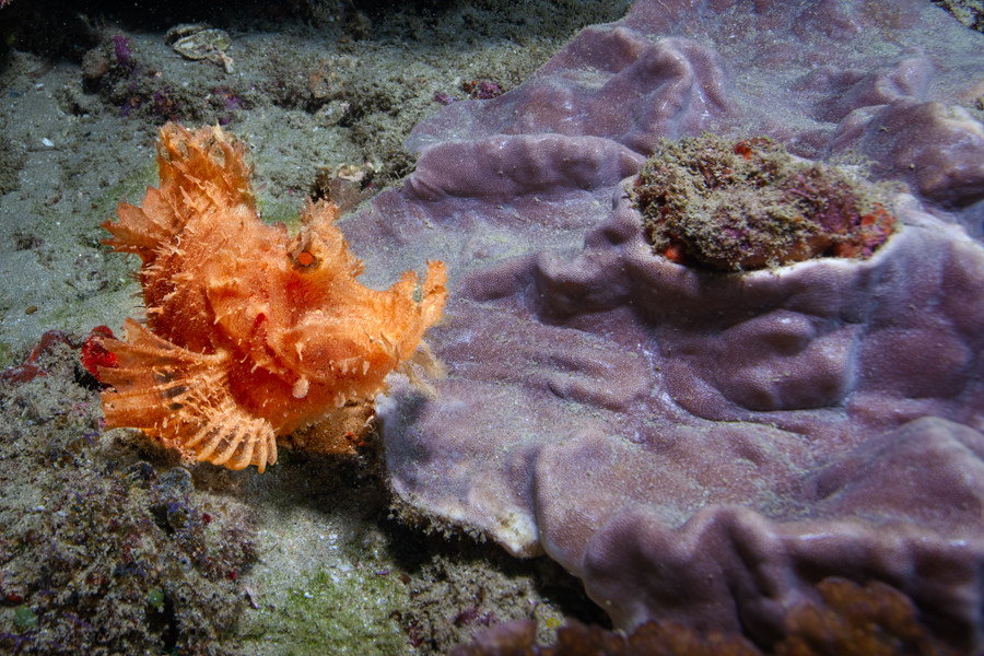 Stacks Image 1581