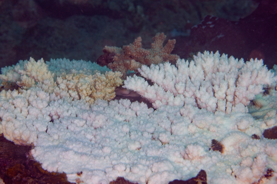 Stacks Image 1841