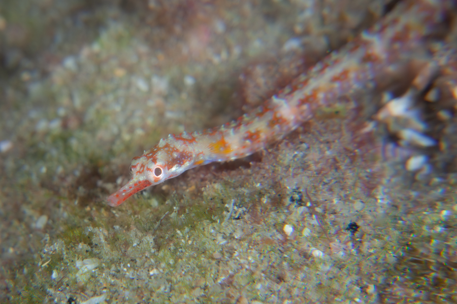 Stacks Image 1596