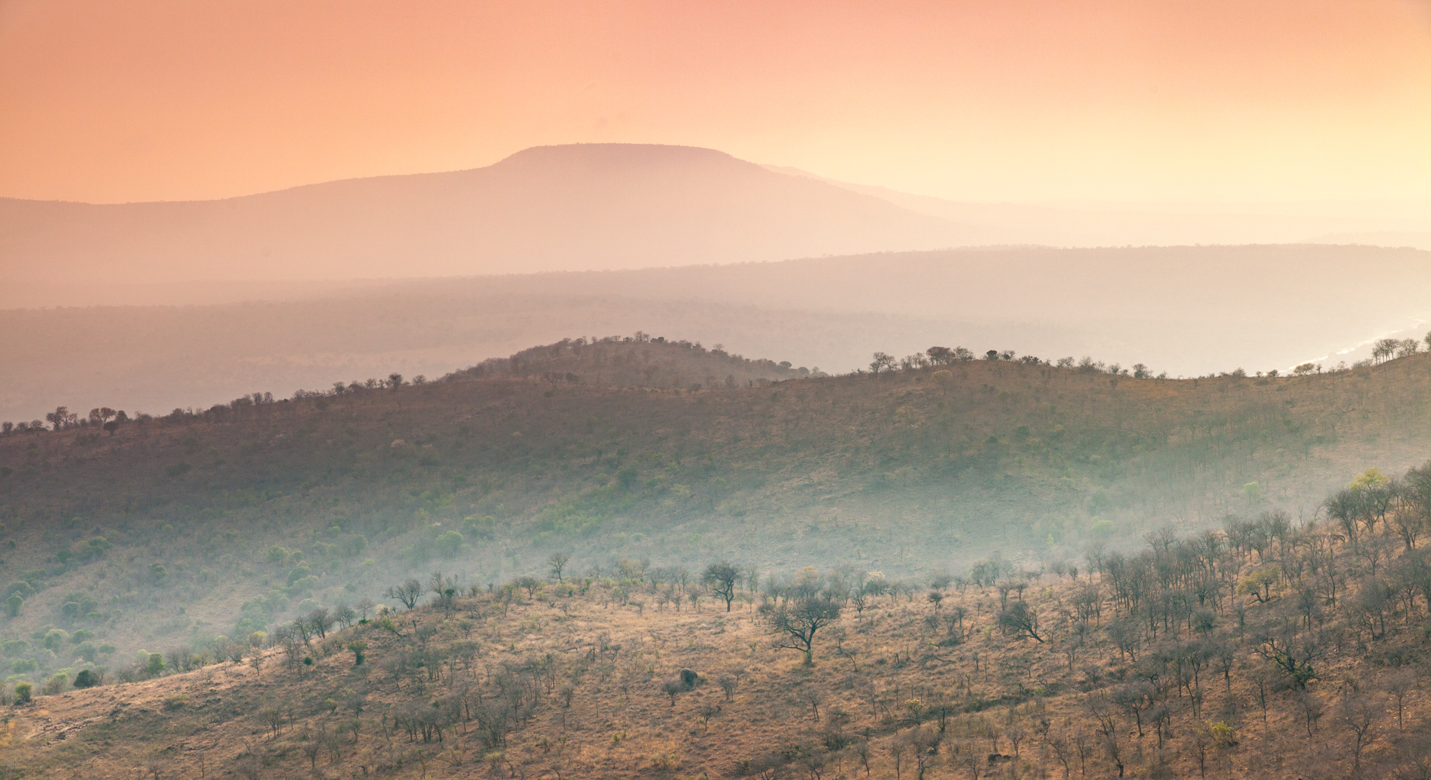 Ihala At Dawn