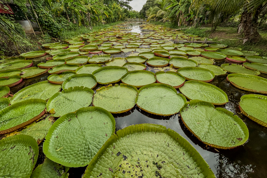 Stacks Image 1047