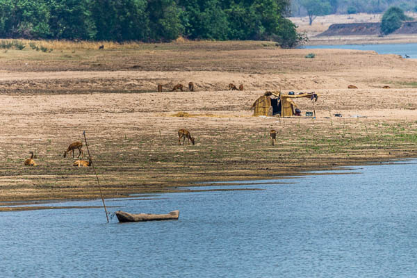 Fishermen Luwangwa River